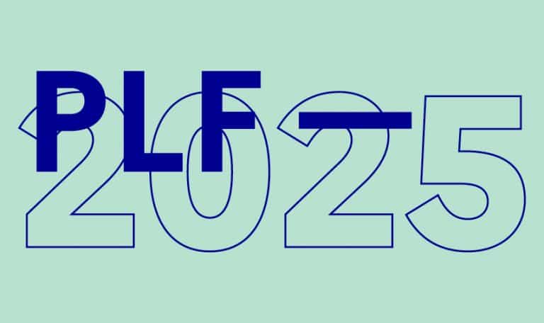 Le Plan de Lois Finances 2025 a beaucoup fait parlé récemment jusqu'à entraîner la motion de censure et le renvoi du gouvernement en place.